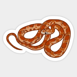 Corn Snake Design Sticker